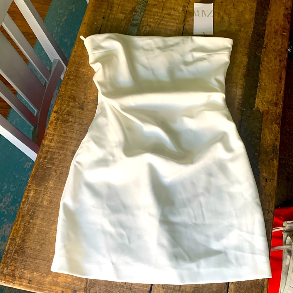 Zara dress